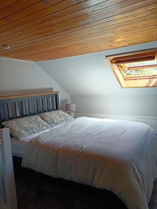 Ferienwohnung Dingle Escape -2 Bed -Sleeps 4 Exterior foto