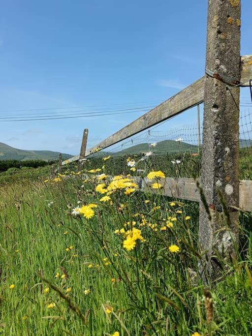 Ferienwohnung Dingle Escape -2 Bed -Sleeps 4 Exterior foto