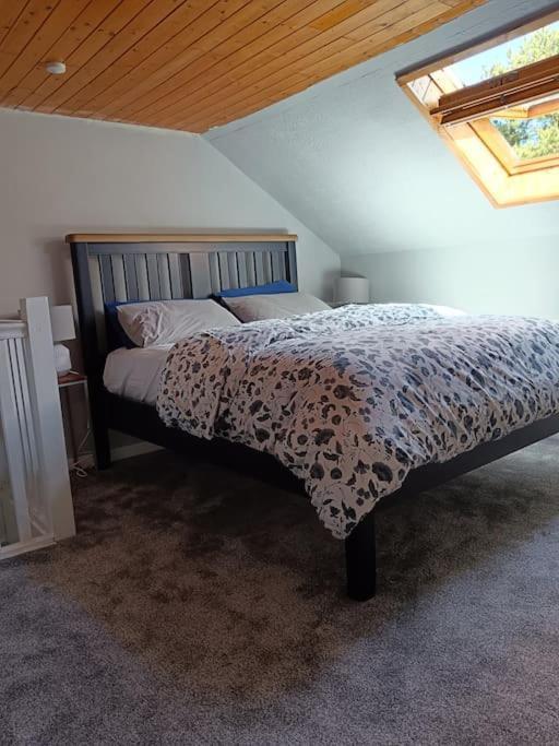 Ferienwohnung Dingle Escape -2 Bed -Sleeps 4 Exterior foto